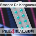 Kangaroo Essence 28